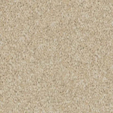 Cameo carpet swatch